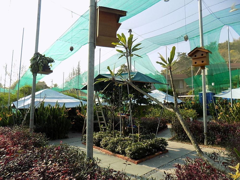 Hotel T Star Langkawi *